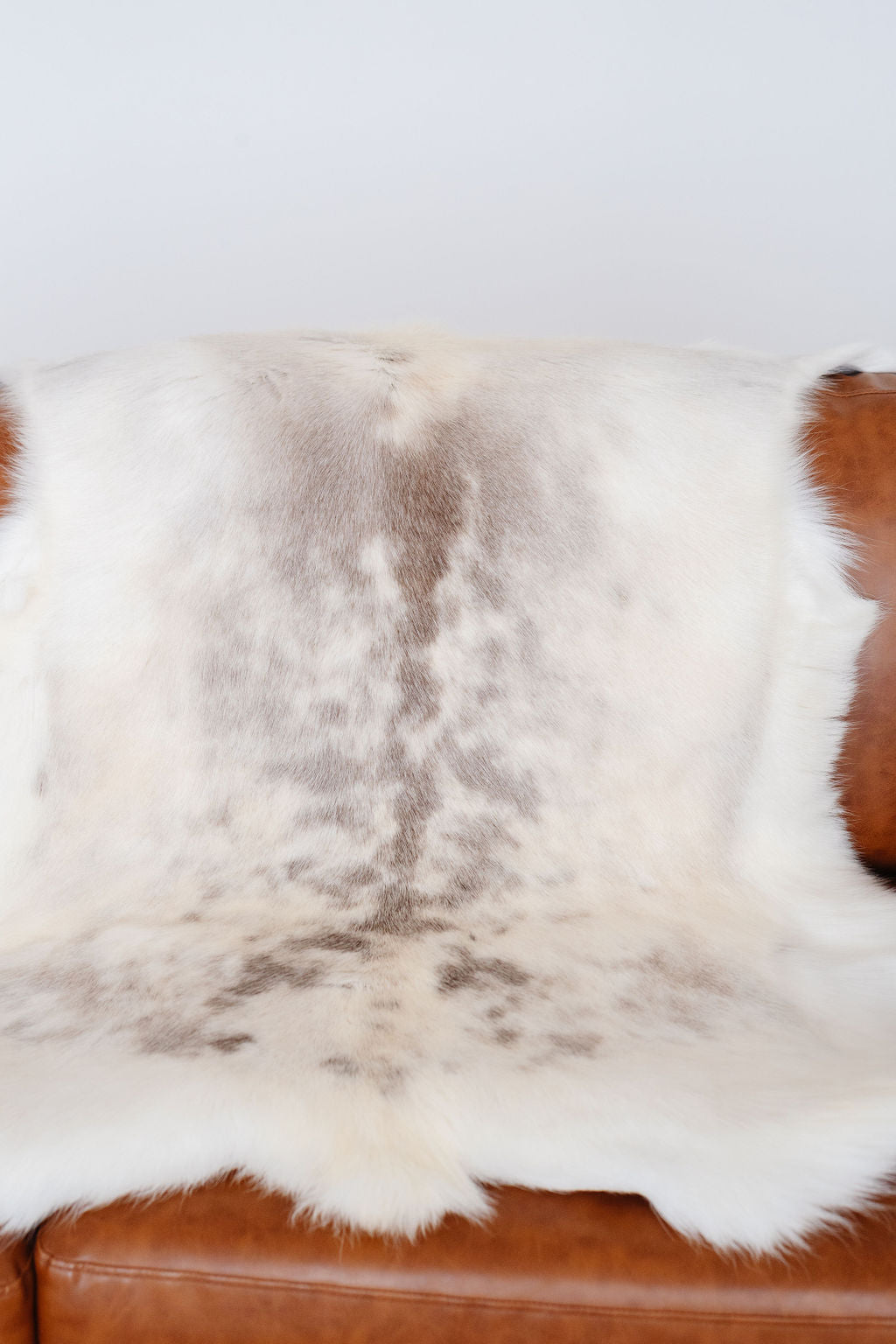 ONE OF A KIND Spotted Albino Reindeer Hide