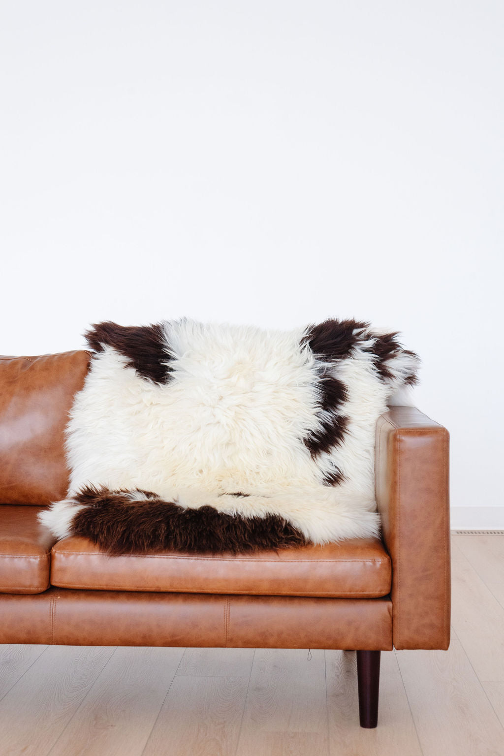 Unique Spotted Welsh Sheepskin