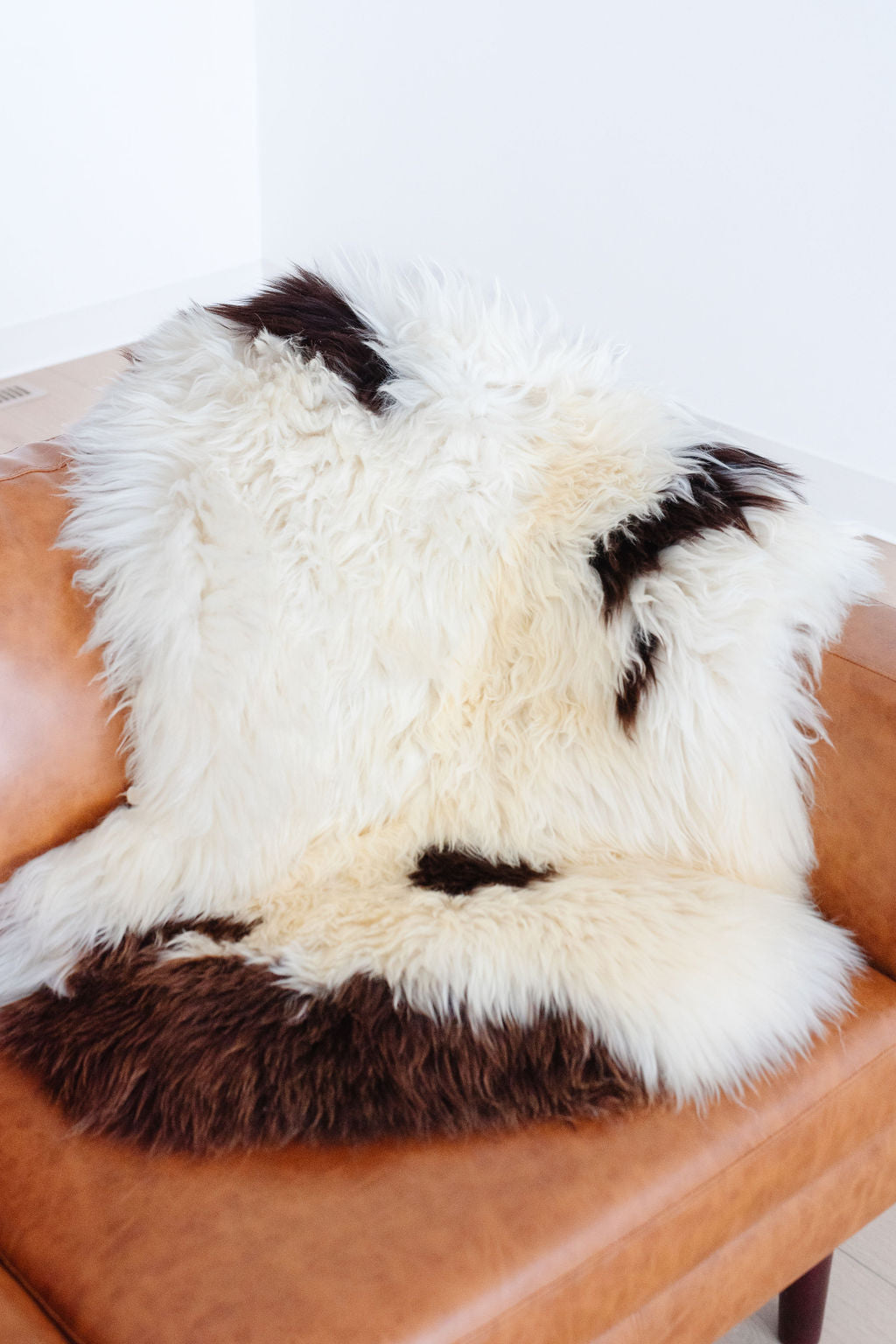 Unique Spotted Welsh Sheepskin