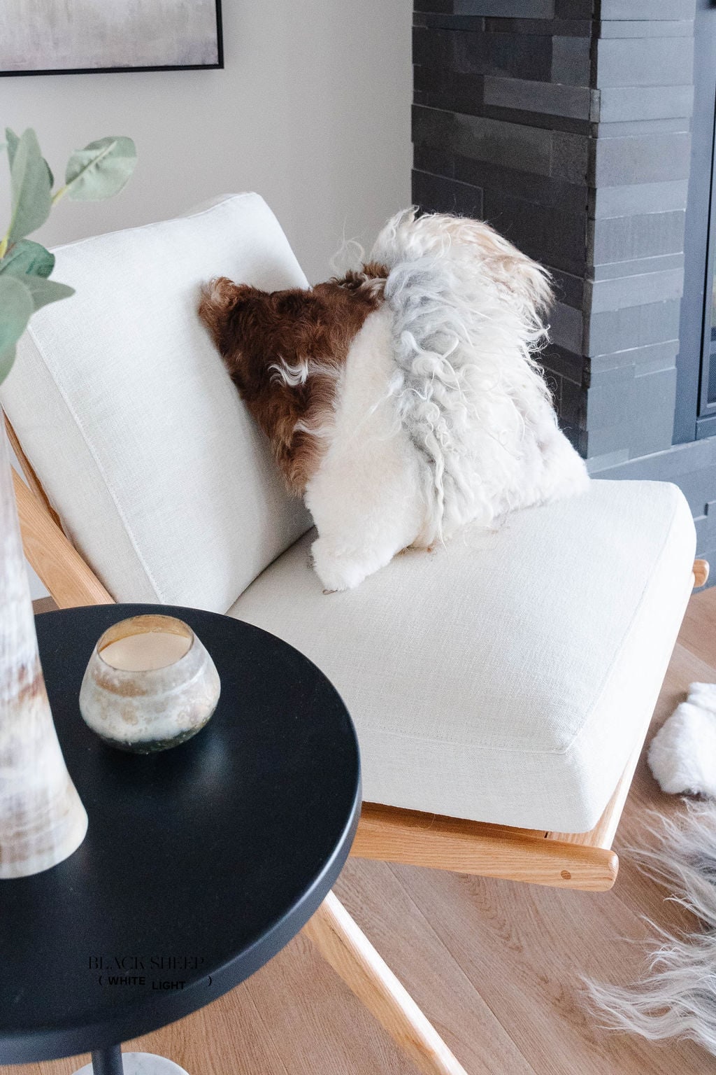 Mélange Sheepskin Pillow, curly wool - Black Sheep (White Light)