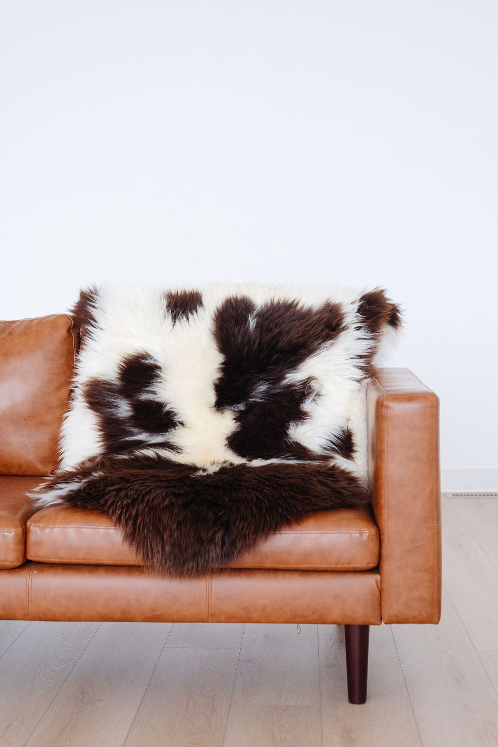 Unique Spotted Welsh Sheepskin