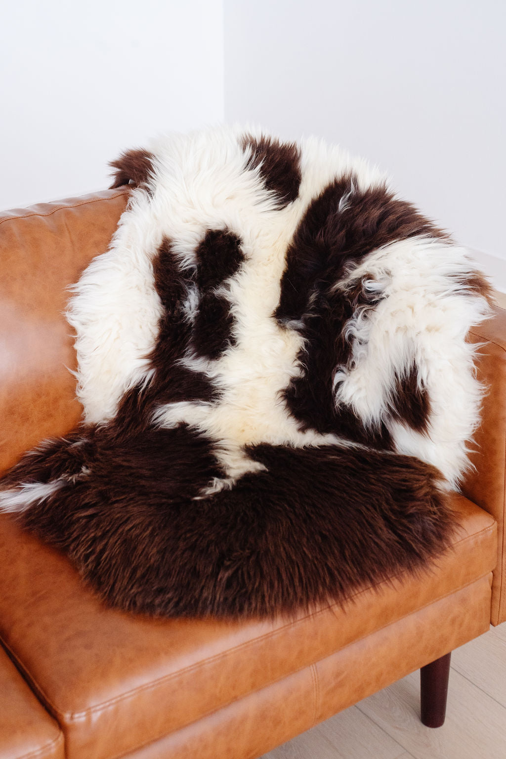 Unique Spotted Welsh Sheepskin