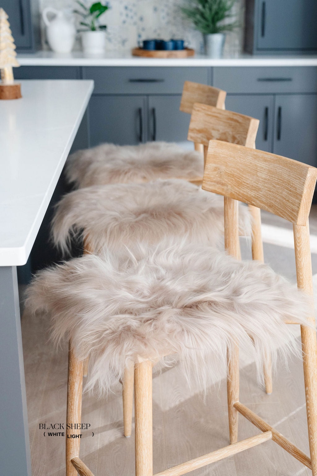 Nude Icelandic Sheepskin Chair Pad - Black Sheep (White Light)