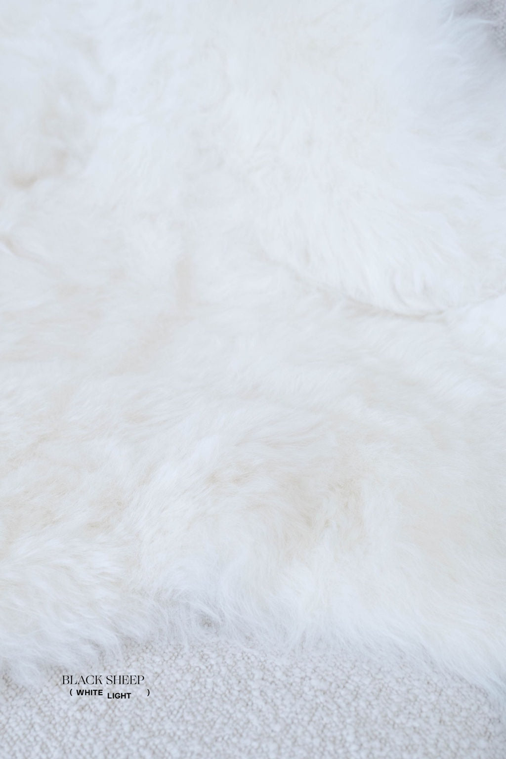 Peau de mouton islandaise blanche tondue