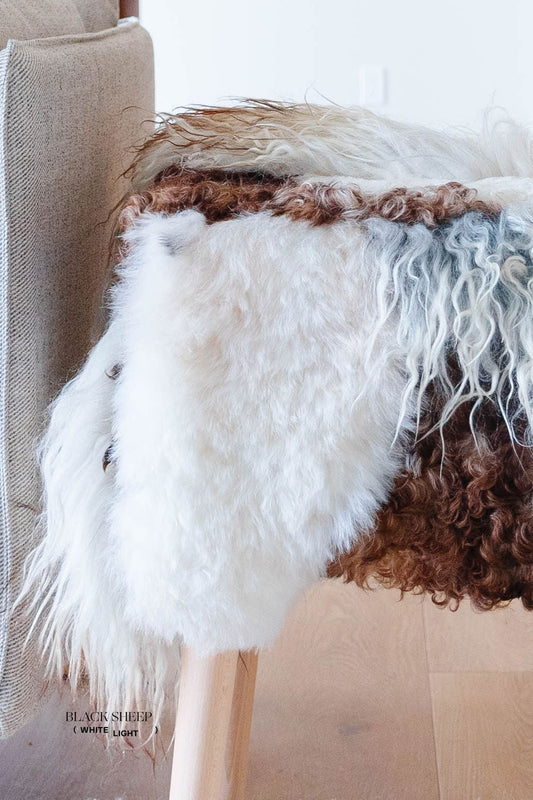 Mélange Sheepskin Stool, curly wool - Black Sheep (White Light)