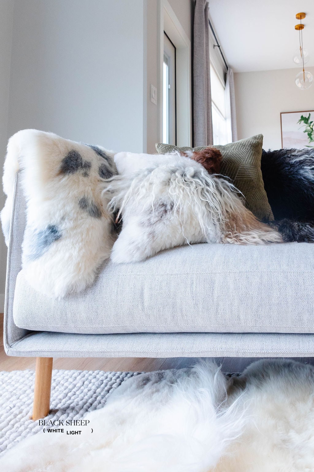 Mélange Sheepskin Pillow, curly wool - Black Sheep (White Light)