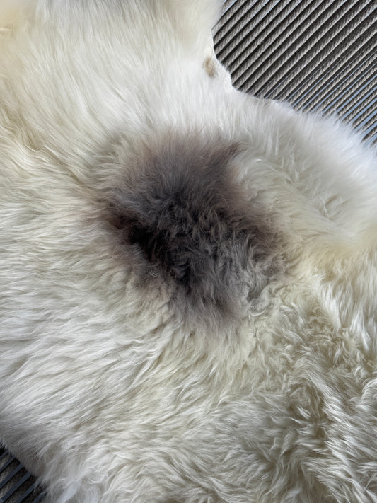 ONE OF A KIND Welsh Long wool Cream with single Grey Spot Sheepskin