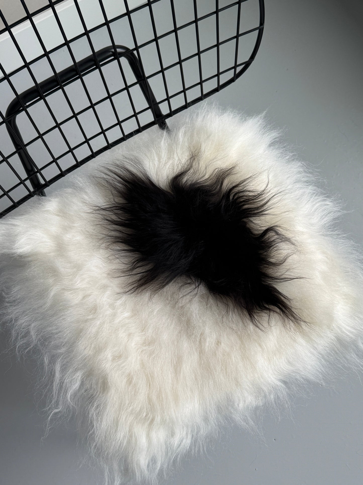 B Grade Black Spotted Icelandic Sheepskin Chair Pad