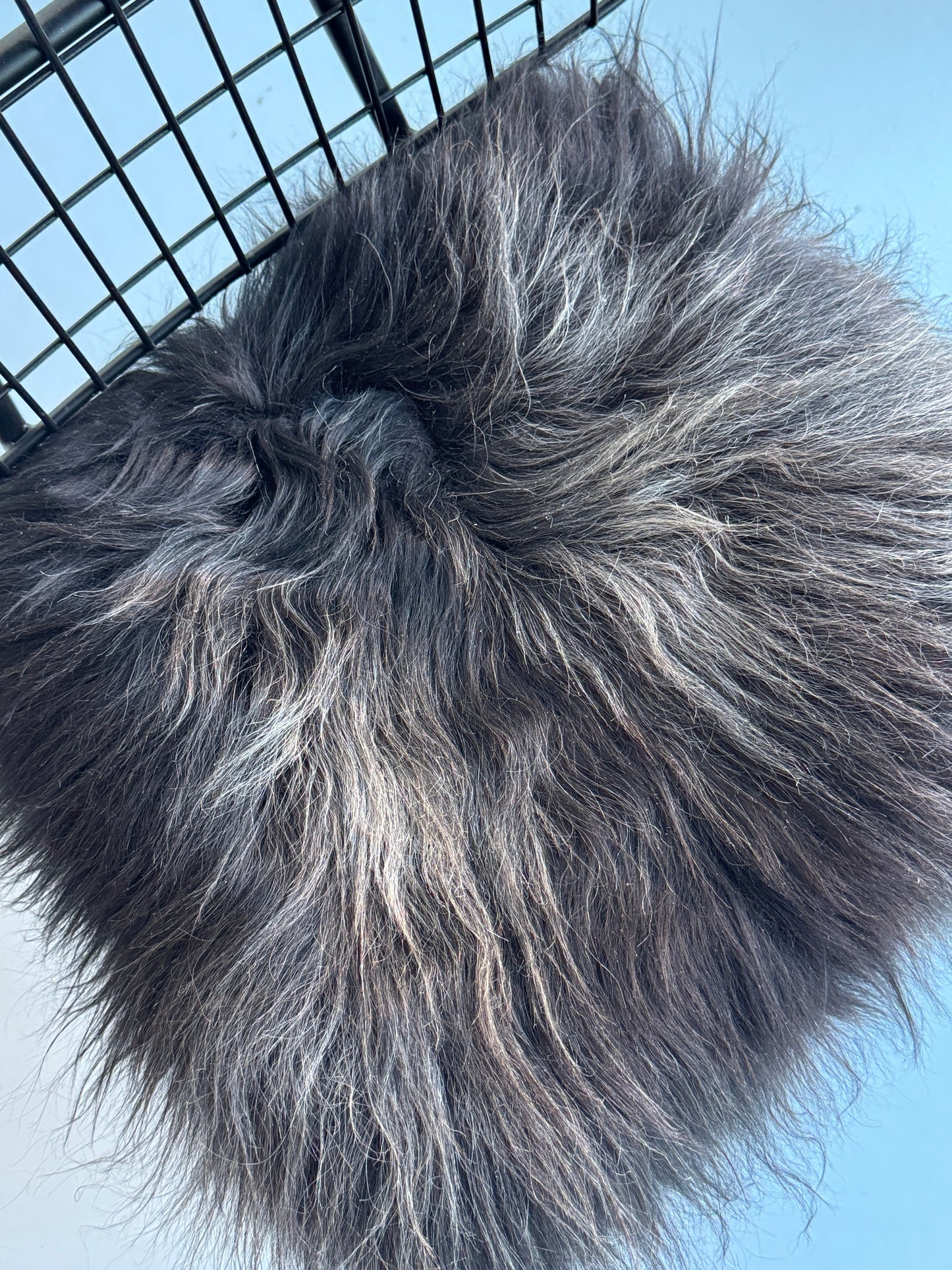 B Grade Black Icelandic Sheepskin Chair Pad