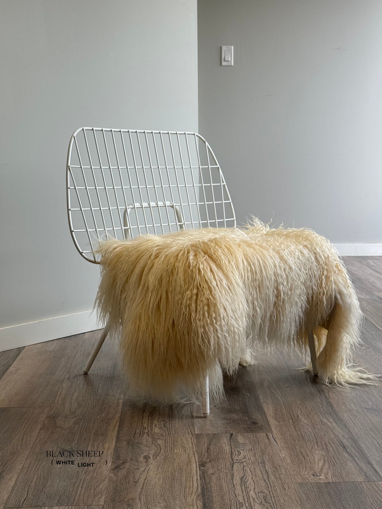 White Icelandic Curly Sheepskin - Black Sheep (White Light)