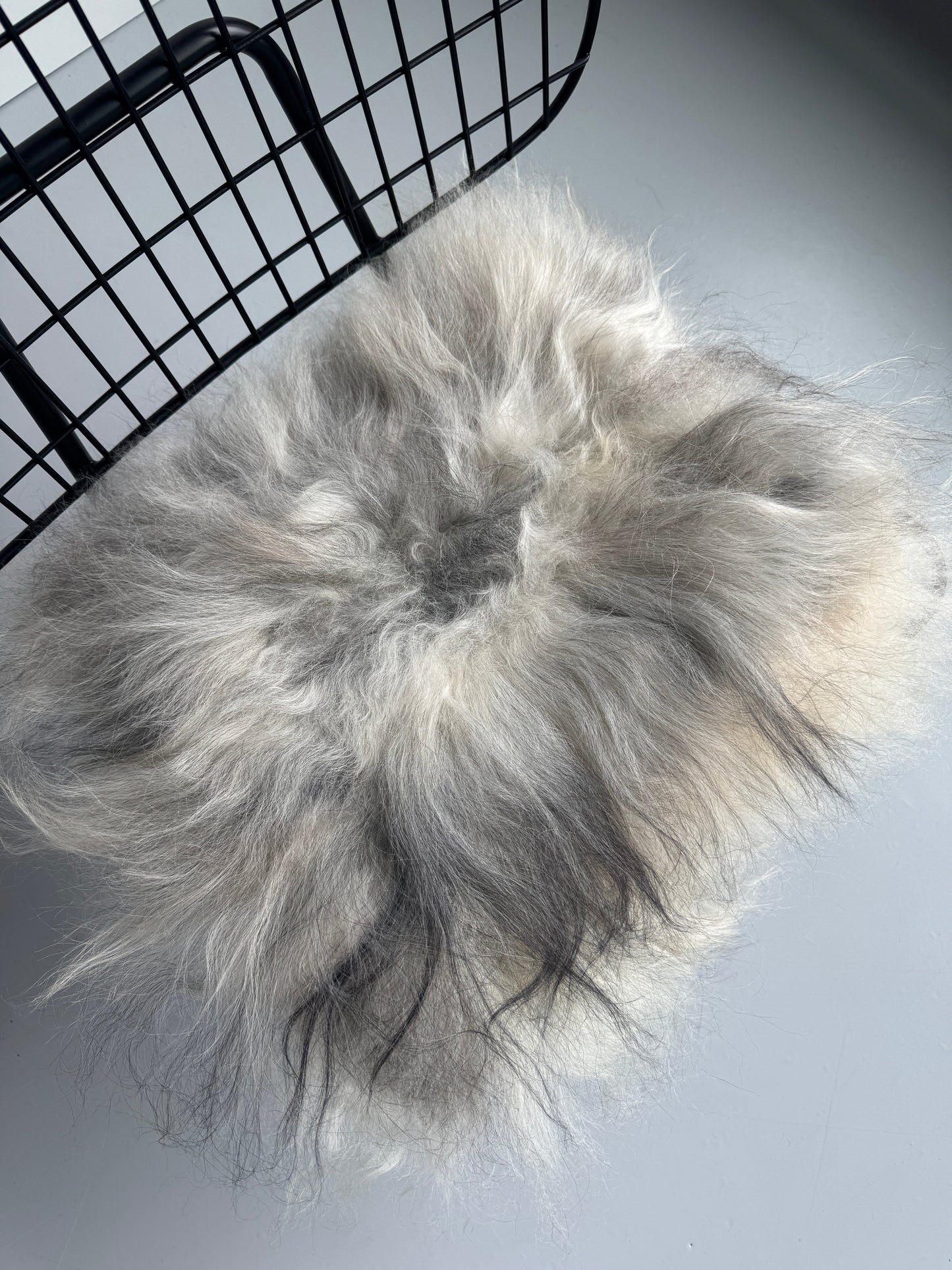 B Grade Natural Grey Icelandic Sheepskin Chair Pad
