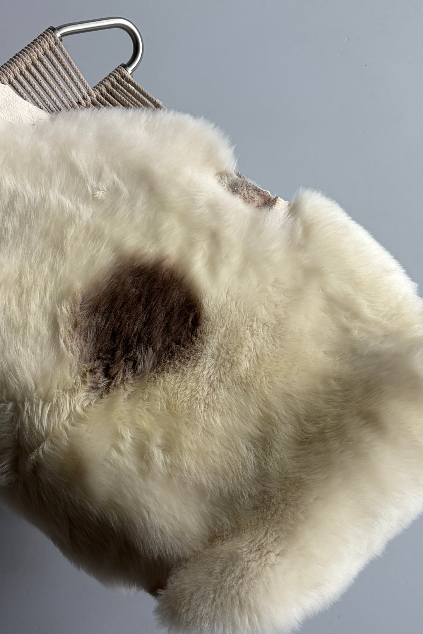 Unique Single Spotted Welsh Sheepskin