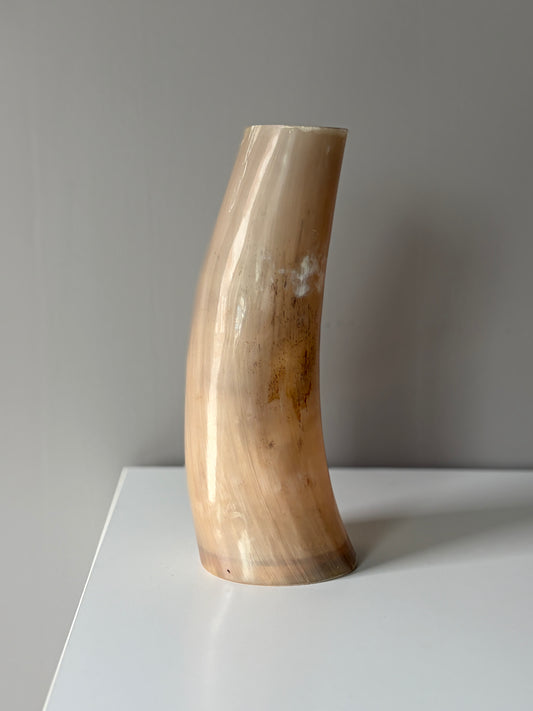 B Grade Ankole & Gyr Horn Light Vase