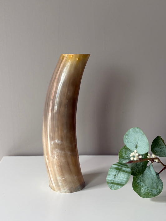 B Grade Ankole & Gyr Horn Light Vase