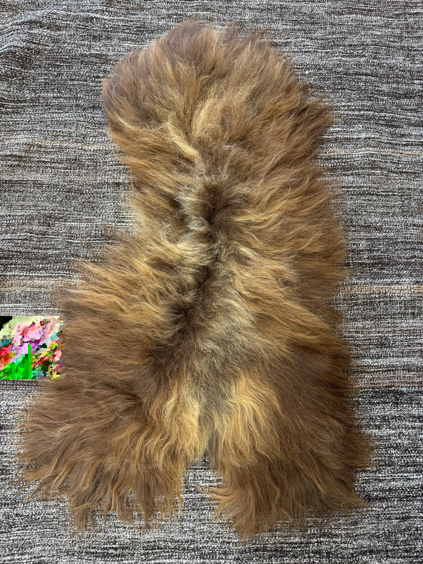 ONE OF A KIND Icelandic Red Sheepskin