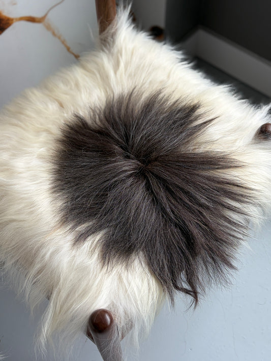 ONE OF A KIND Matching Pair of Black Spotted Icelandic Sheepskin chair pads