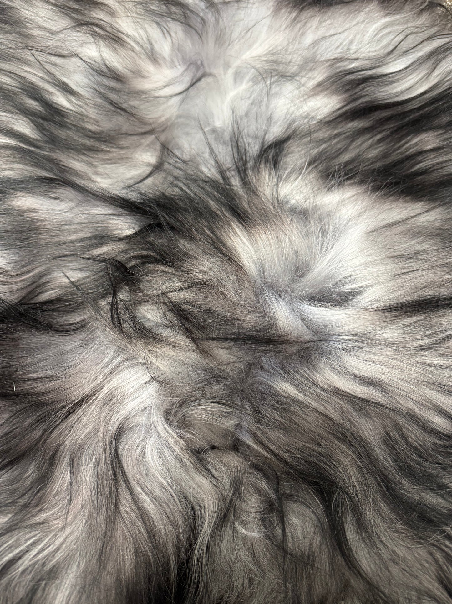 ONE OF A KIND Long Wool Icelandic Grey Ends Sheepskin
