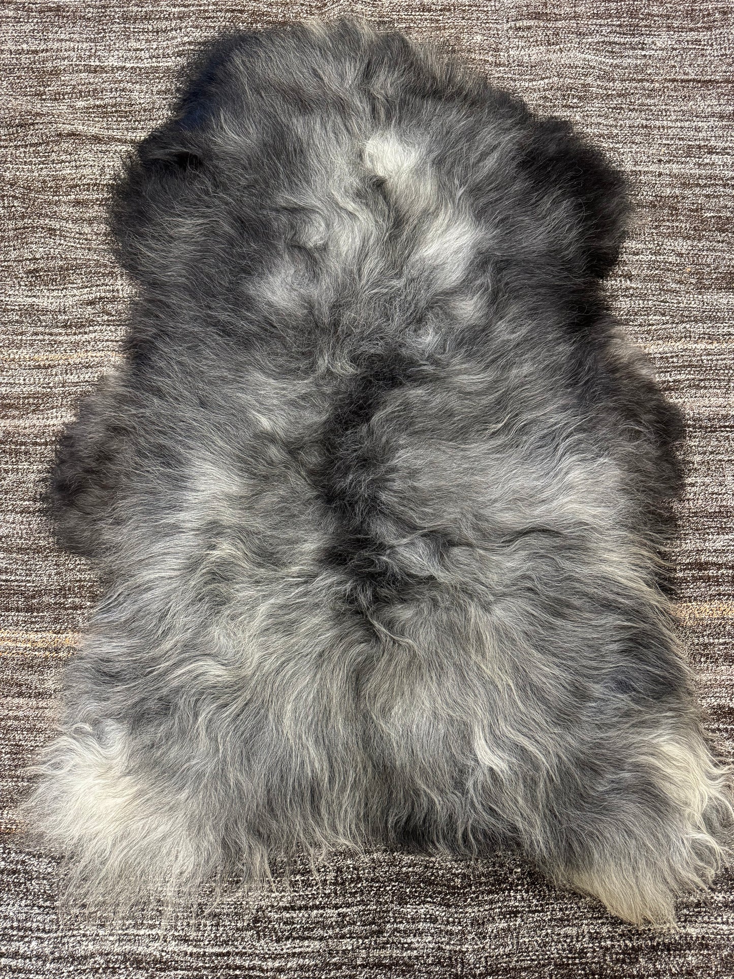 ONE OF A KIND XL Long Wool Icelandic Sheepskin in Dark Grey
