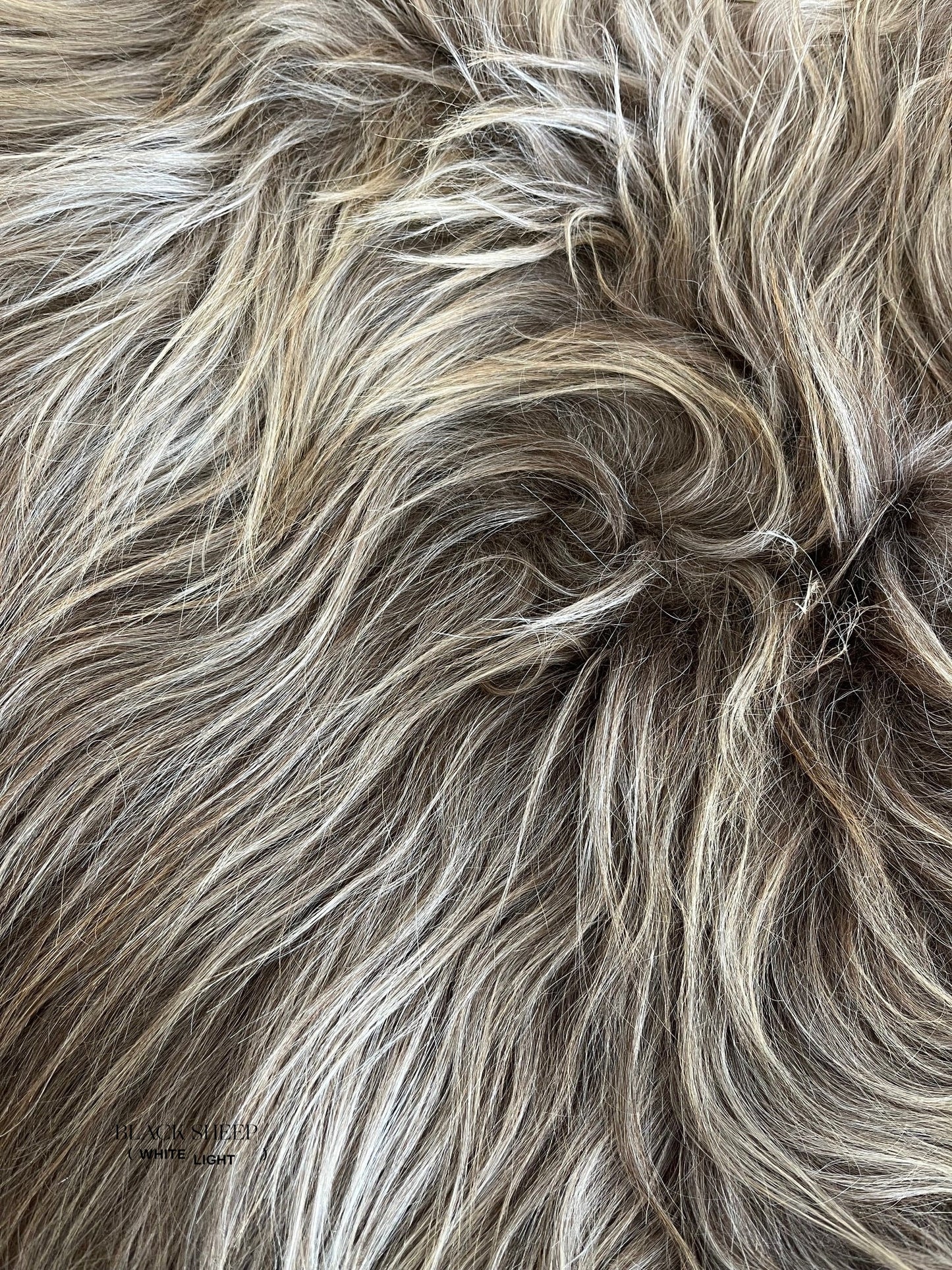 ONE OF THE KIND Icelandic Taupe Sheepskin - Black Sheep (White Light)