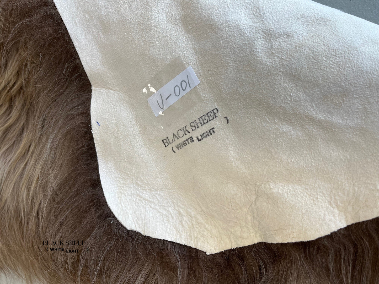 ONE OF THE KIND Icelandic Taupe Sheepskin - Black Sheep (White Light)