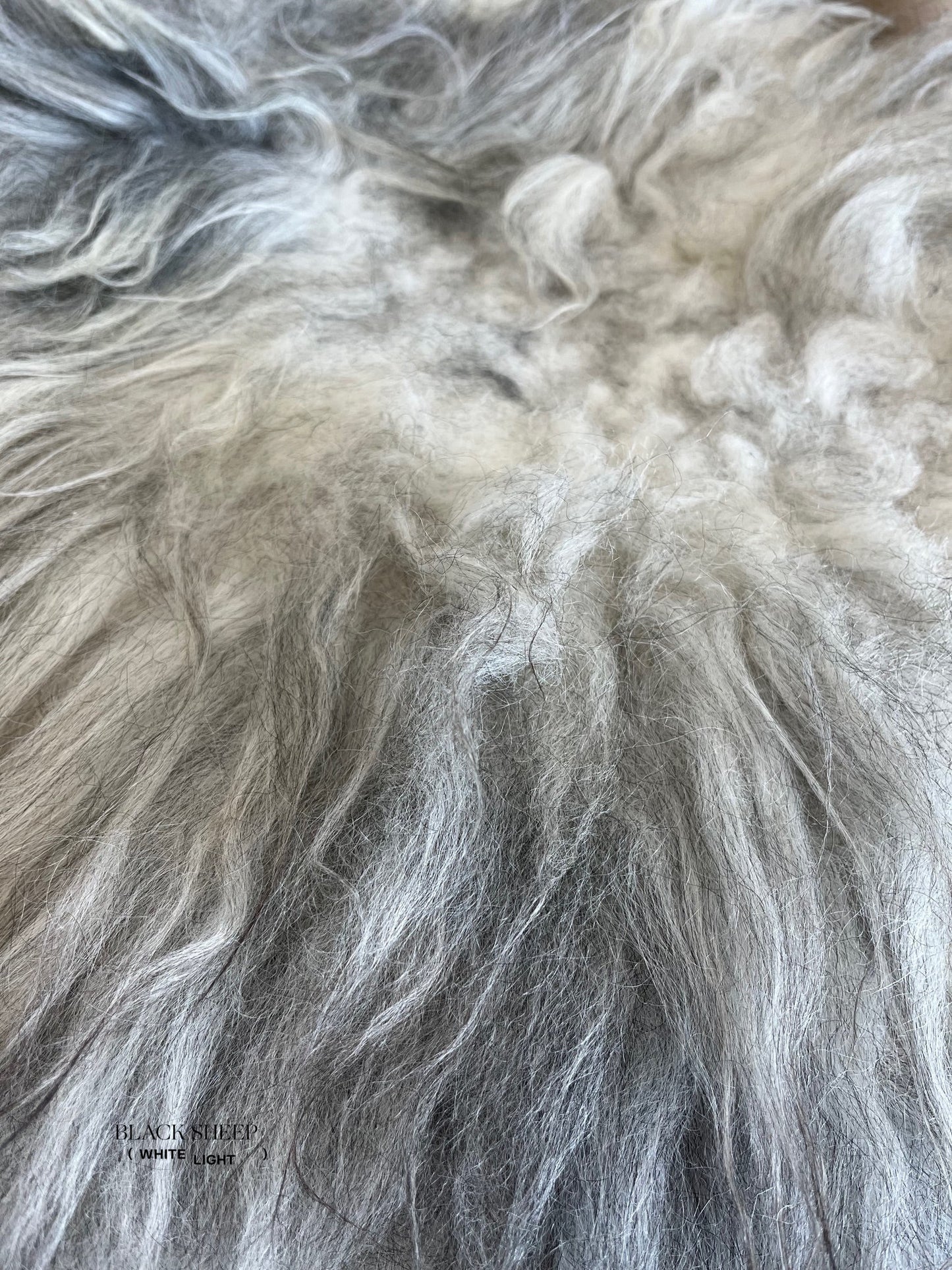 ONE OF THE KIND Gray Icelandic Sheepskin - Black Sheep (White Light)