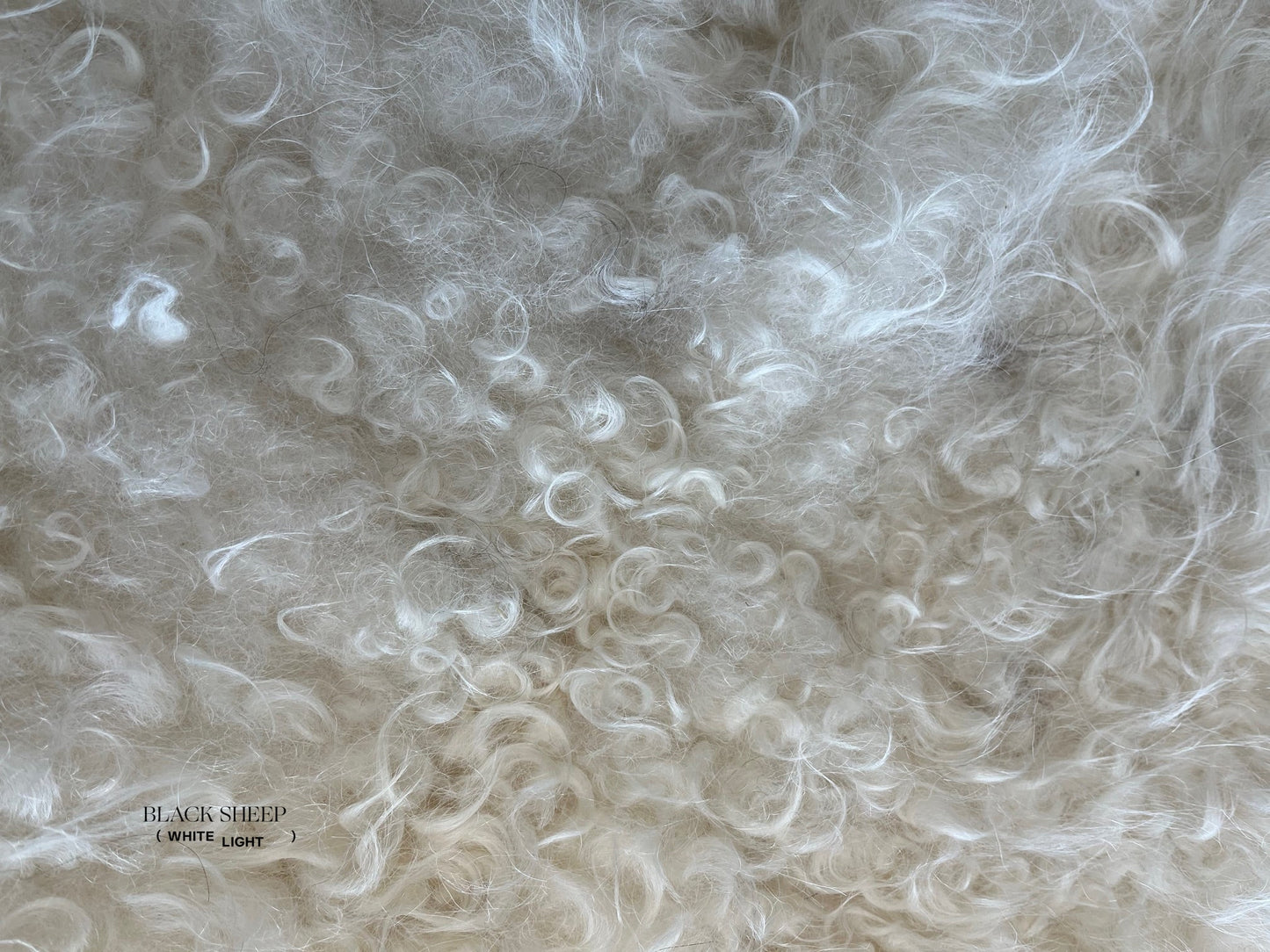 ONE OF THE KIND Icelandic White Sheepskin - Black Sheep (White Light)