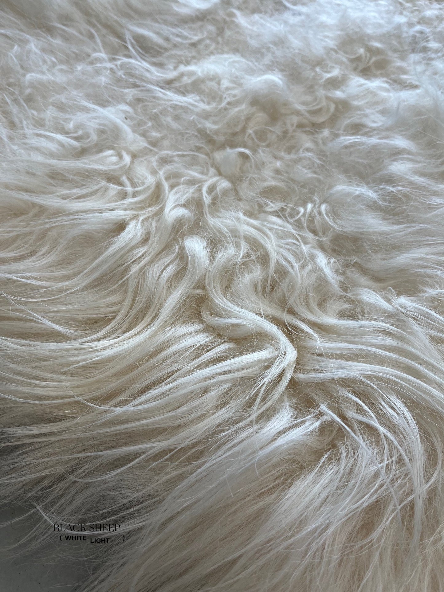 ONE OF THE KIND Icelandic White Sheepskin - Black Sheep (White Light)