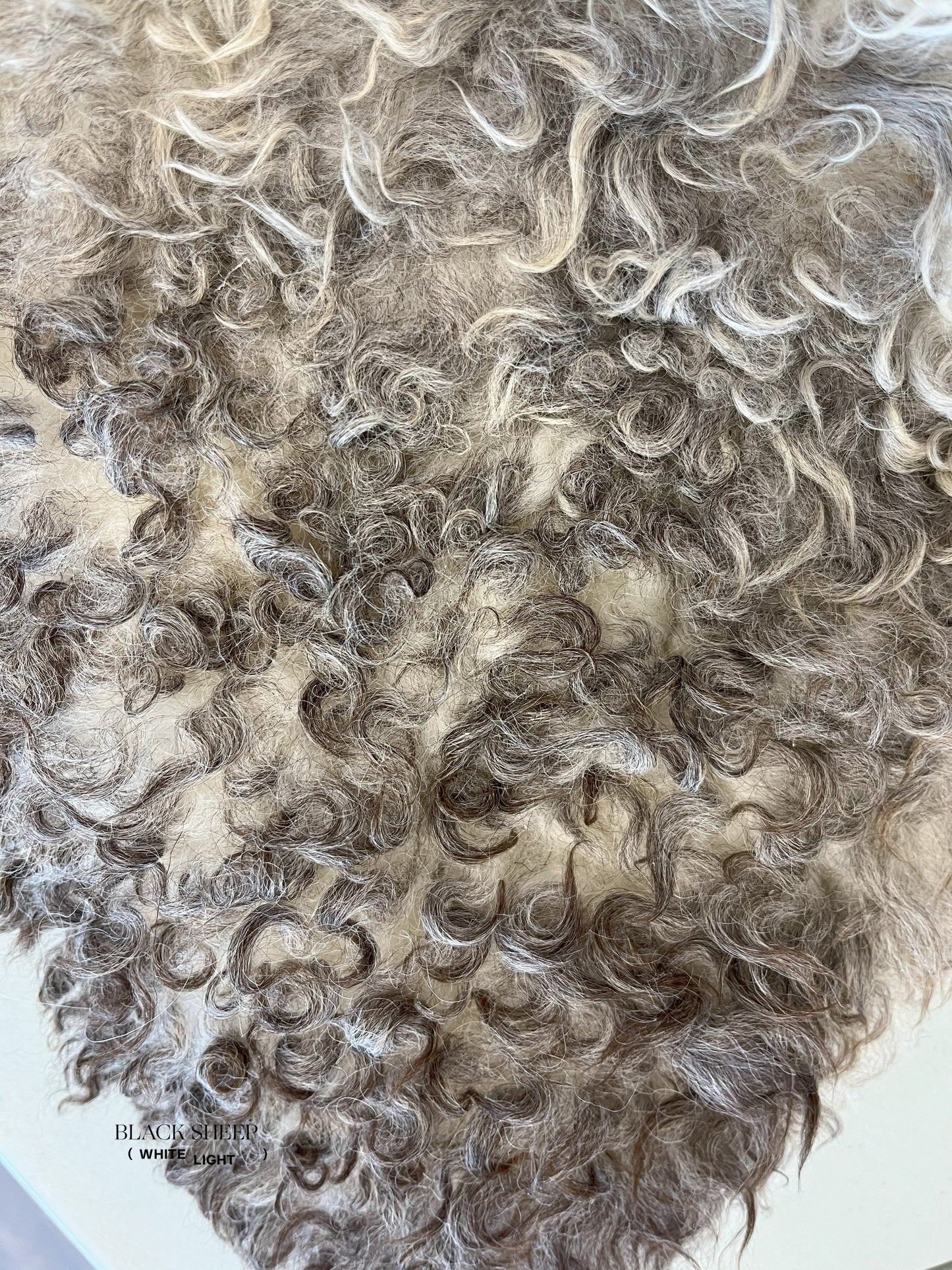 ONE OF THE KIND Gotland White Medium Wool Sheepskin - Black Sheep (White Light)
