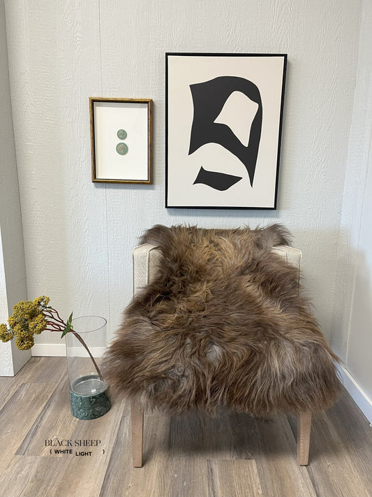 ONE OF THE KIND Icelandic Brown Grey Sheepskin - Black Sheep (White Light)