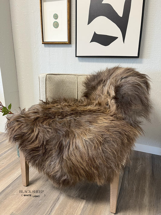 ONE OF THE KIND Icelandic Brown Grey Sheepskin - Black Sheep (White Light)