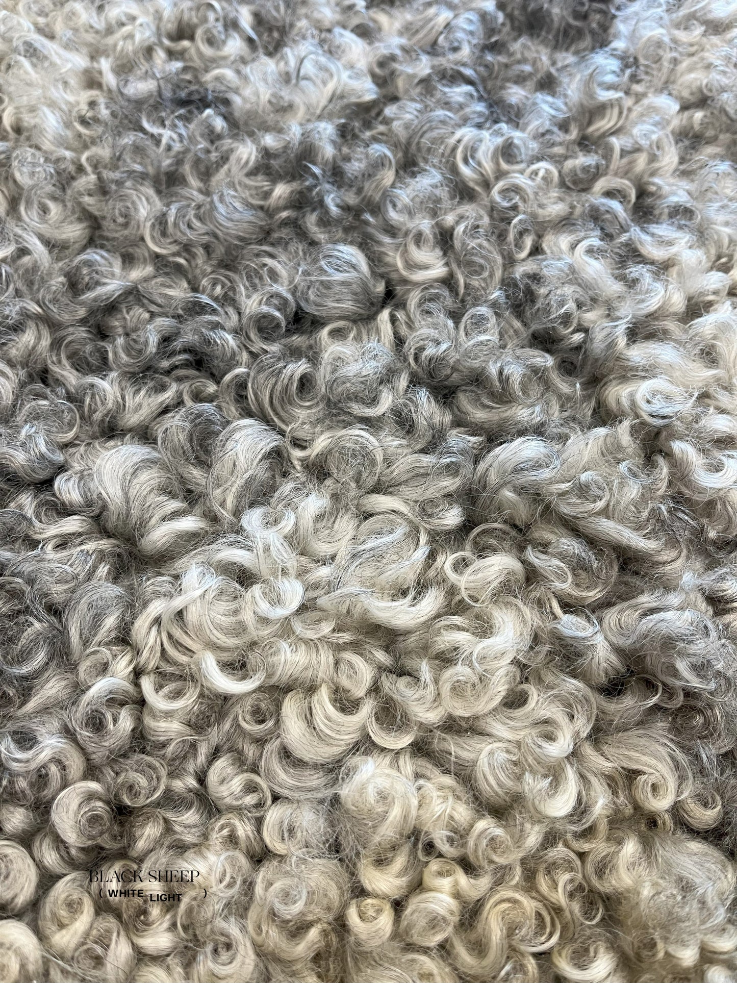 ONE OF THE KIND Gotland Grey Medium Wool Sheepskin - Black Sheep (White Light)