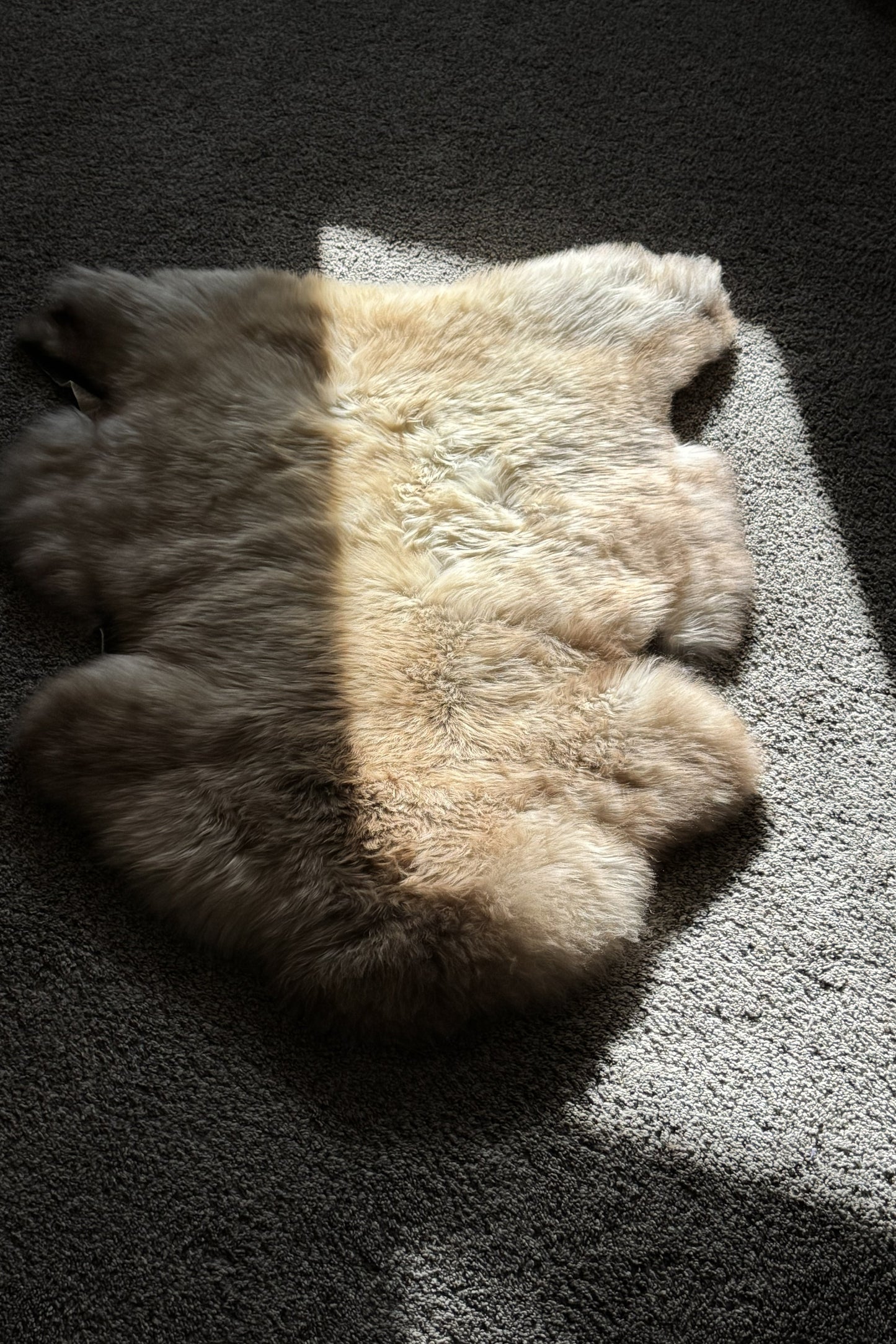 Unique Blend Beige Welsh Sheepskin