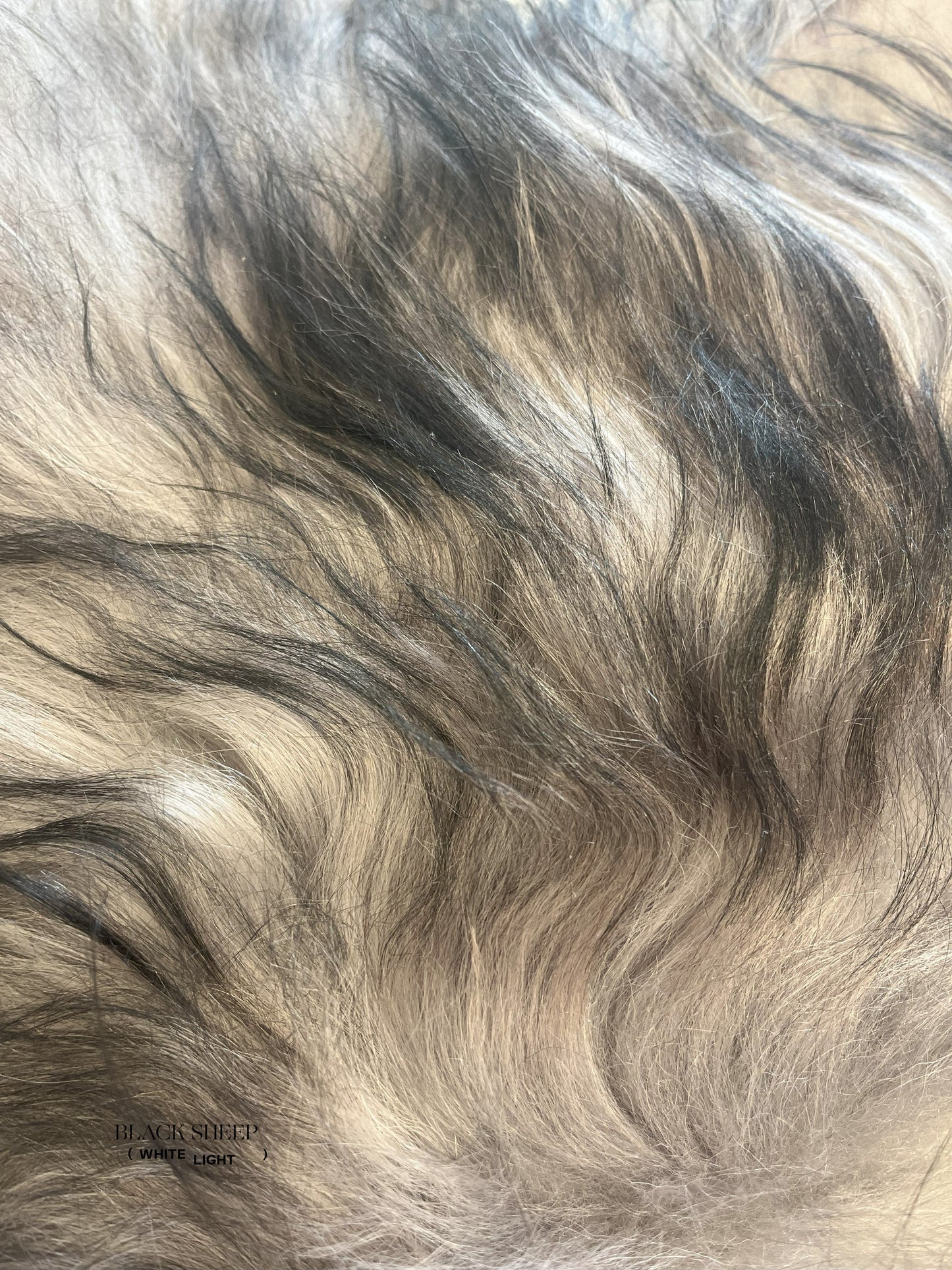 ONE OF THE KIND Icelandic Grey Dark Ends Sheepskin - Black Sheep (White Light)
