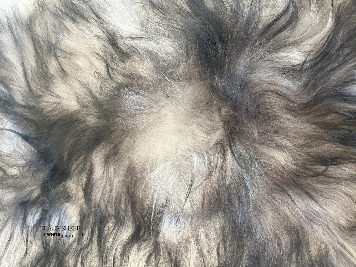 ONE OF THE KIND Icelandic Grey Dark Ends Sheepskin - Black Sheep (White Light)