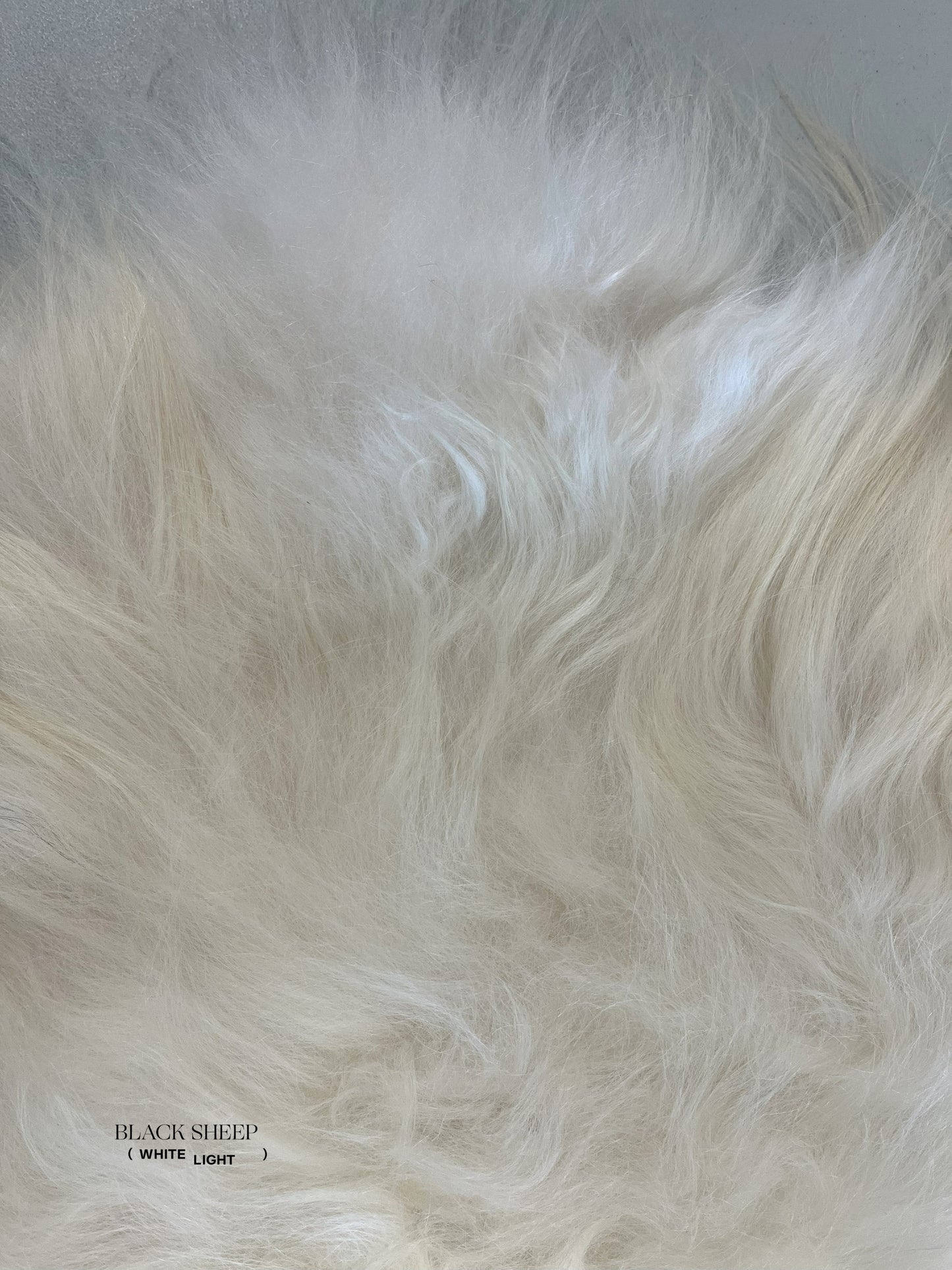 ONE OF THE KIND Icelandic White Sheepskin - Black Sheep (White Light)