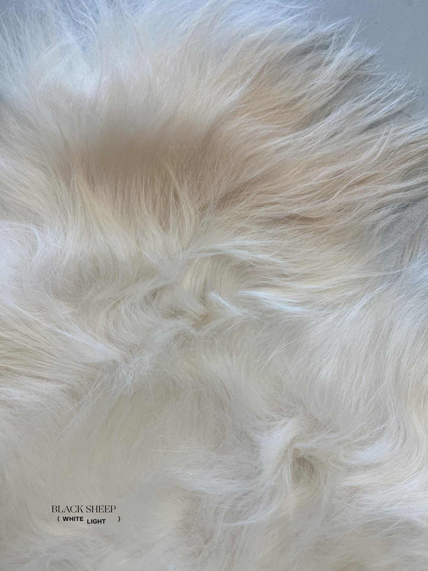 ONE OF THE KIND Icelandic White Sheepskin - Black Sheep (White Light)