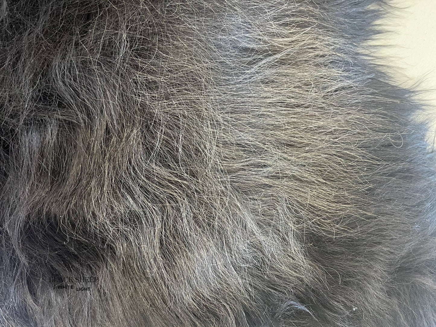 ONE OF THE KIND Icelandic Black Salt and Pepper Sheepskin - Black Sheep (White Light)