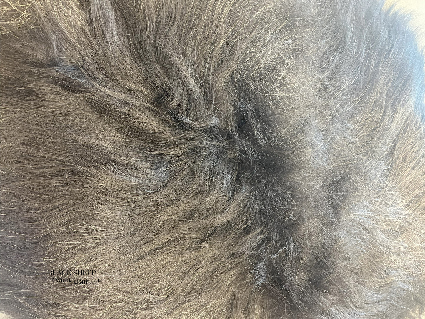ONE OF THE KIND Icelandic Black Salt and Pepper Sheepskin - Black Sheep (White Light)
