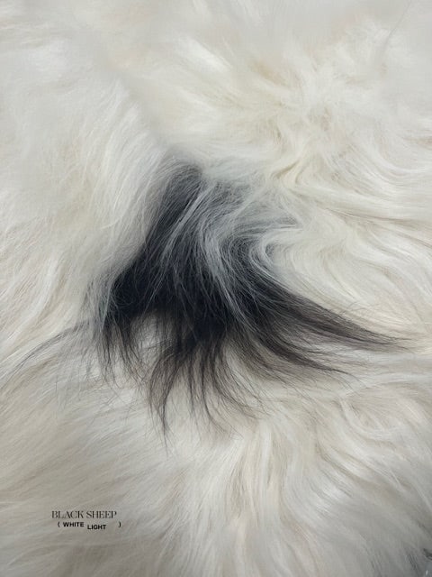 ONE OF THE KIND Icelandic White with Black Spot Sheepskin - Black Sheep (White Light)