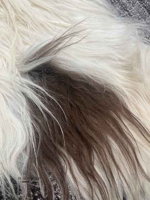 ONE OF THE KIND Icelandic White with Brown Spot Sheepskin - Black Sheep (White Light)