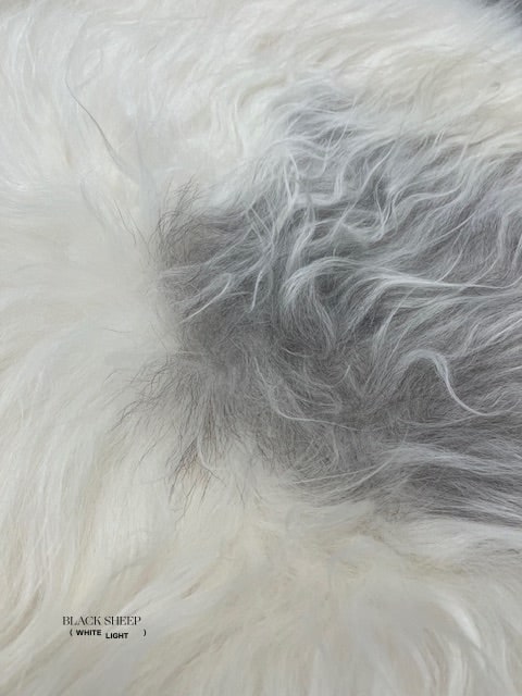 ONE OF THE KIND Icelandic White with Large Grey Spot Sheepskin - Black Sheep (White Light)