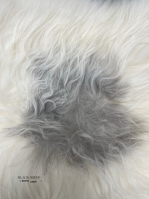 ONE OF THE KIND Icelandic White with Large Grey Spot Sheepskin - Black Sheep (White Light)