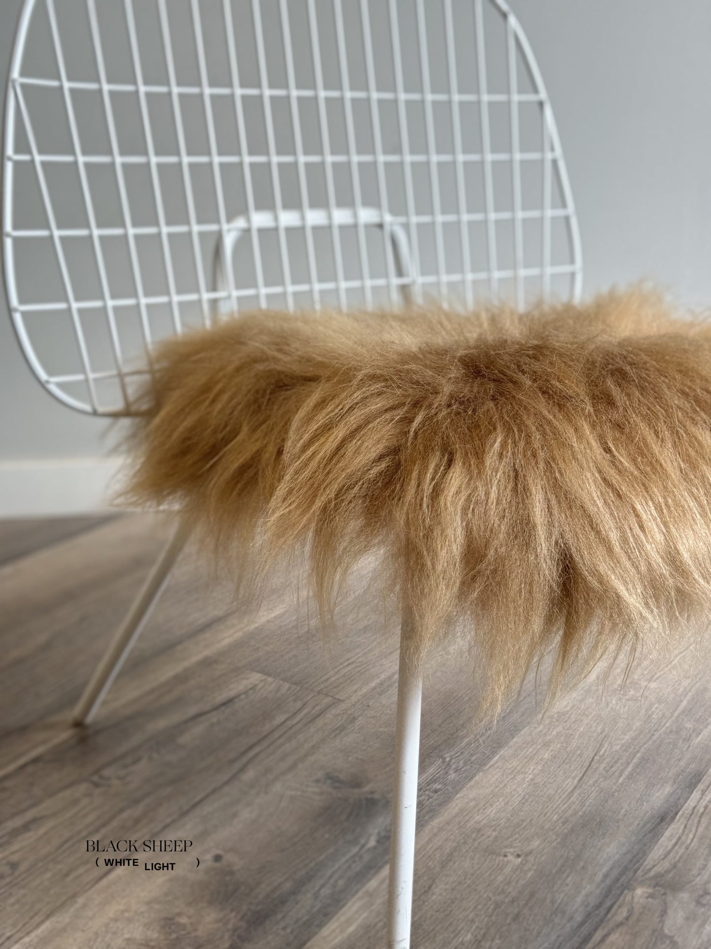Camel Icelandic Sheepskin Chair Pad - Black Sheep (White Light)