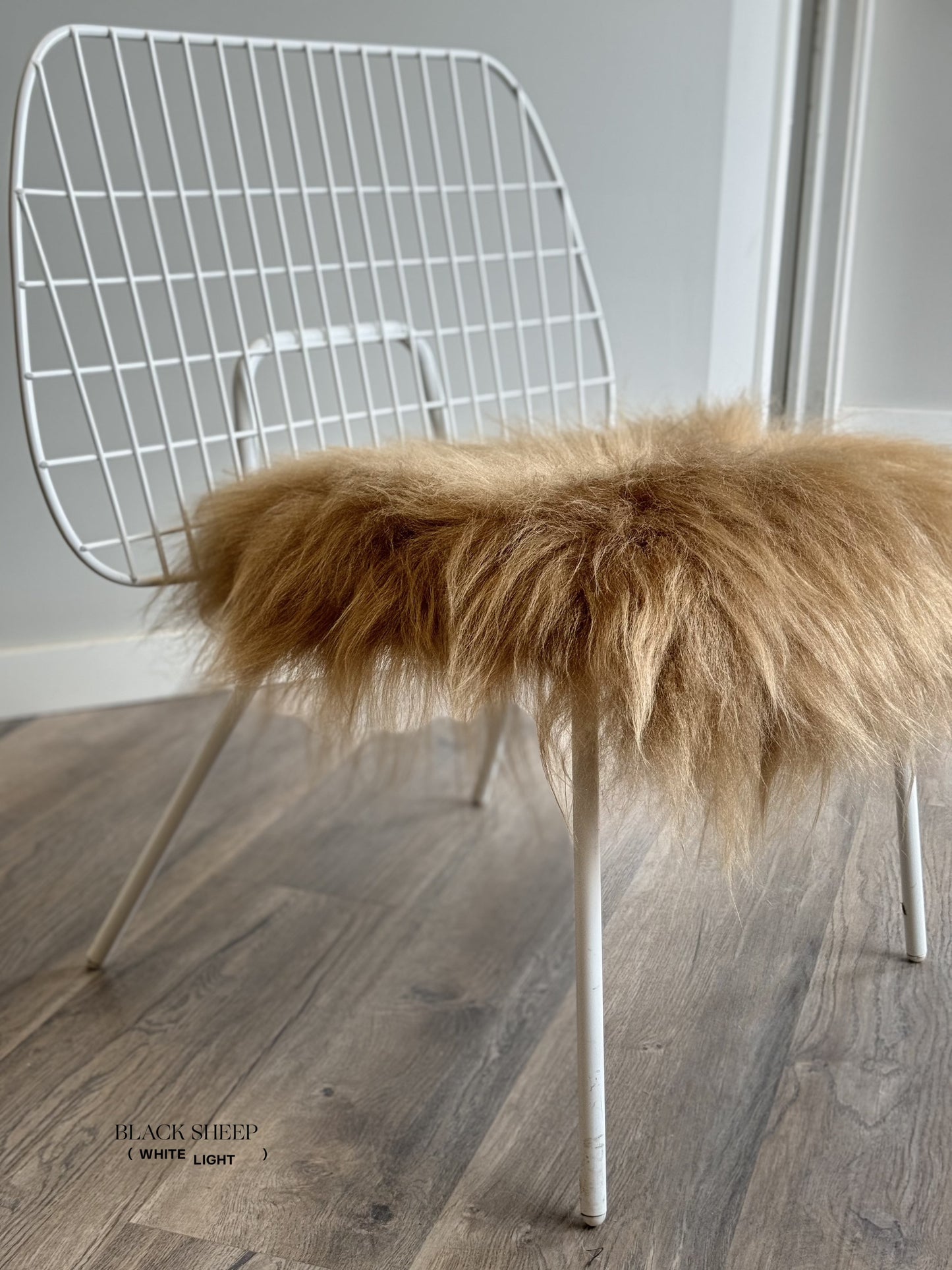 Camel Icelandic Sheepskin Chair Pad - Black Sheep (White Light)