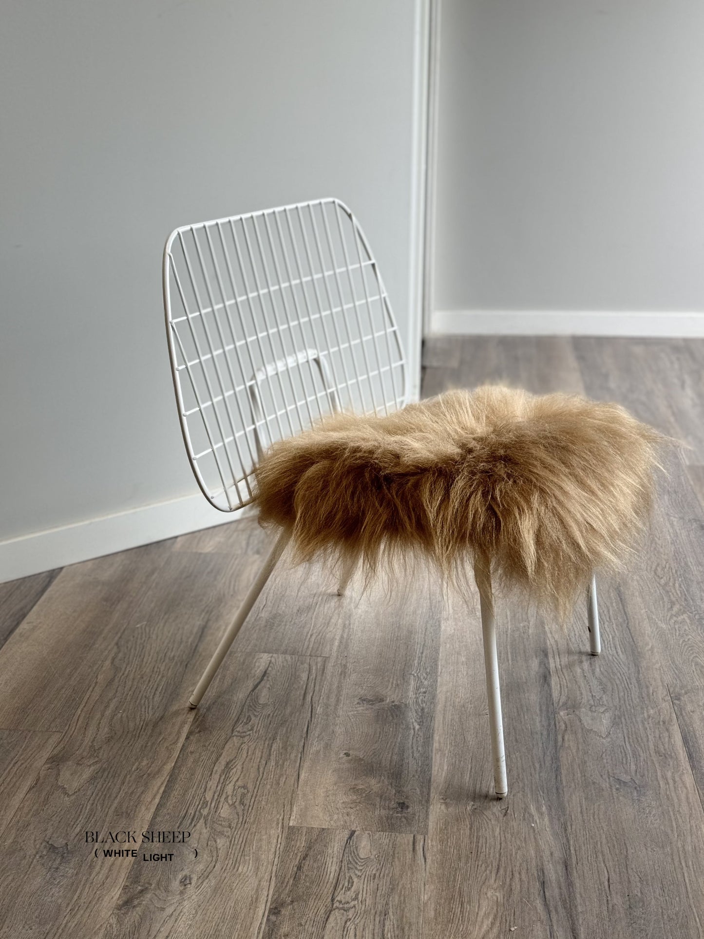 Camel Icelandic Sheepskin Chair Pad - Black Sheep (White Light)
