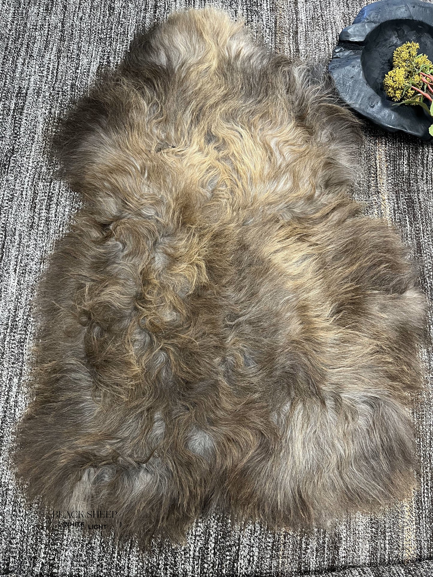 ONE OF THE KIND Icelandic Brown Grey Sheepskin - Black Sheep (White Light)