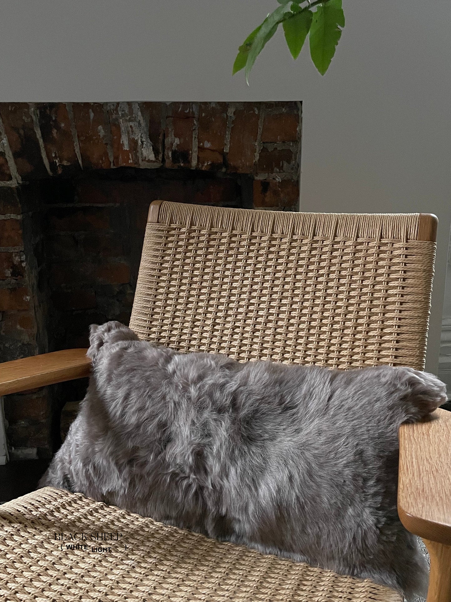 Rectangular Shorn Taupe Icelandic Sheepskin Pillow Cover - Black Sheep (White Light)