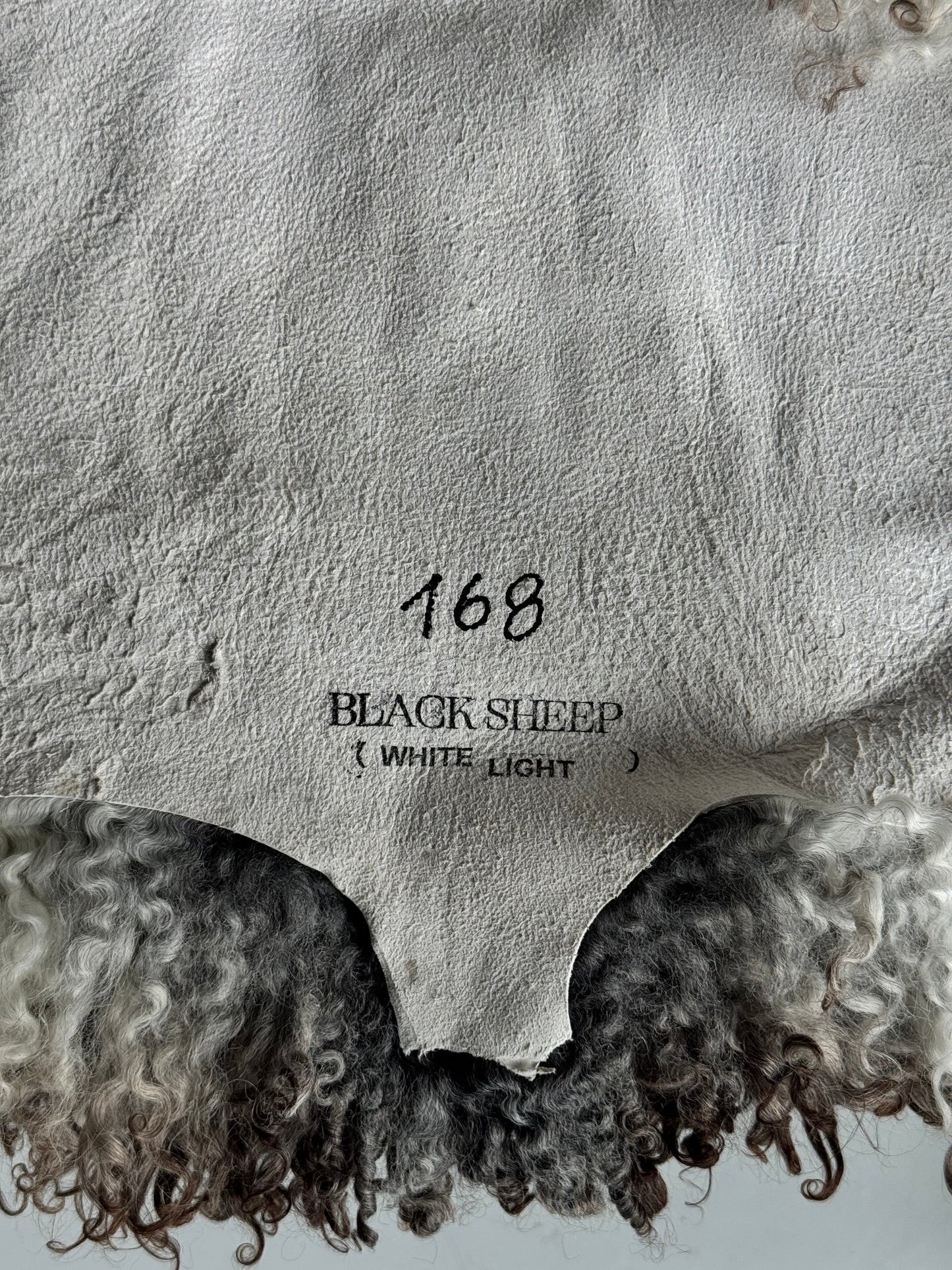 ONE OF A KIND Gotland Long Wool Grey with Brown curls Sheepskin