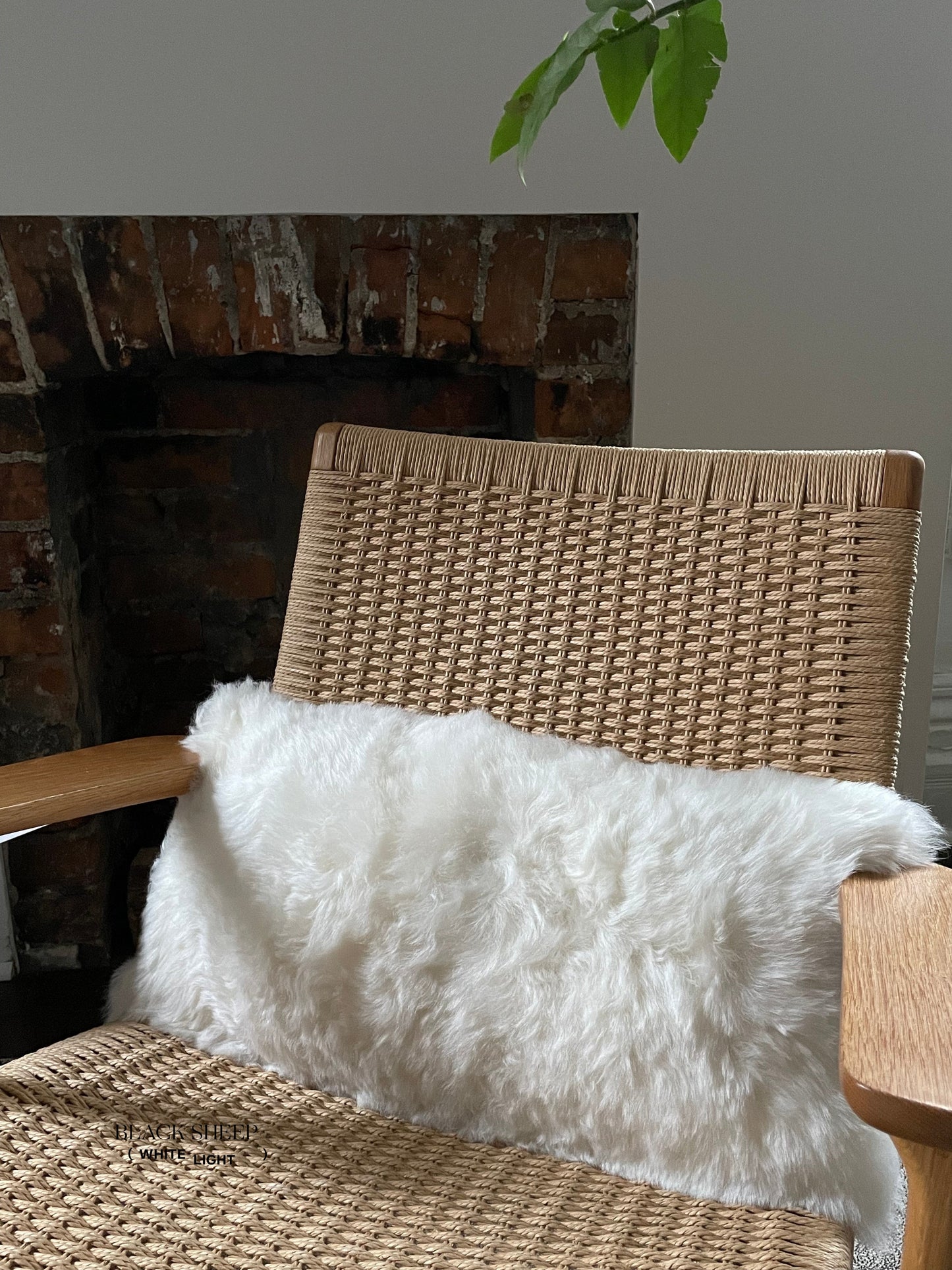 Rectangular Shorn White Icelandic Sheepskin Pillow Cover - Black Sheep (White Light)