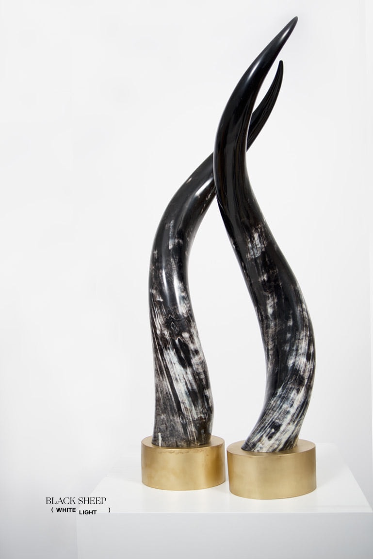 Ankole Dark Decorative Horn Set - Black Sheep (White Light)